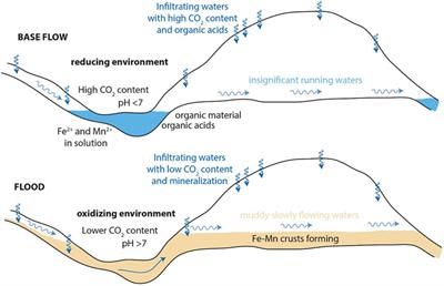 Morpho-Mineralogical and Bio-Geochemical Description of Cave Manganese Stromatolite-Like Patinas (Grotta del Cervo, Central Italy) and Hints on Their Paleohydrological-Driven Genesis
